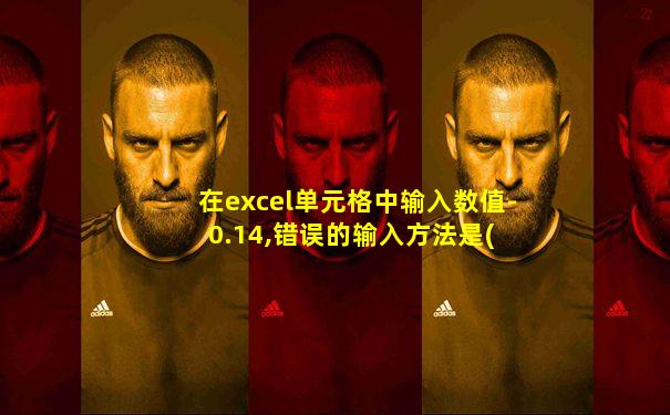 在excel单元格中输入数值-0.14,错误的输入方法是( )